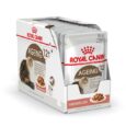 Royal Canin Ageing (1)