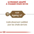 Royal Canin Ageing (1)