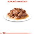 Royal Canin Ageing (3)