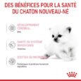 Royal Canin Babycat milk 300 g (1)