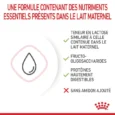 Royal Canin Babycat milk 300 g (1)