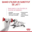 Royal Canin Babycat milk 300 g (5)