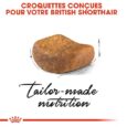 Royal Canin British Shorthair Adulte 2 Kg (2)
