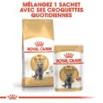 Royal Canin British Shorthair Adulte 2 Kg (4)