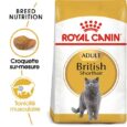 Royal Canin British Shorthair Adulte 2 Kg (5)