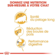Royal Canin Persian Adulte (1)