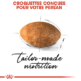 Royal Canin Persian Adulte (3)