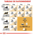 Royal Canin Persian Adulte (5)