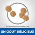 hills-science-plan-aliment-pour-chat-adulte-au-thon (2)