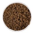 ownat-care-urinary-cat-1 (1)