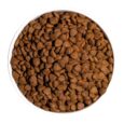 ownat-classic-kitten-pour-chaton (2)