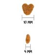 ownat-classic-light-pour-chat (1)
