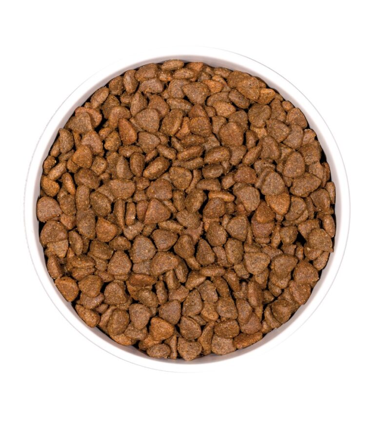 ownat-grain-free-kitten-pour-chaton-sans-cereale (1)