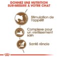 royal-canin-chat-ageing-12-2-kg (1)