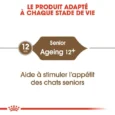 royal-canin-chat-ageing-12-2-kg (2)
