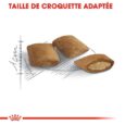 royal-canin-chat-ageing-12-2-kg (3)