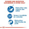 royal-canin-chat-indoor-7-3-5kg (3)