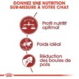 royal-canin-fit-2-kg-4-kg-15kg (1)