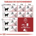 royal-canin-fit-2-kg-4-kg-15kg