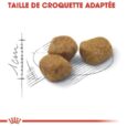 royal-canin-fit-2-kg-4-kg-15kg (5)