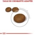 royal-canin-hair-skin-care-2-kg (2)