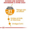 royal-canin-hair-skin-care-2-kg (3)