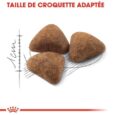 royal-canin-indoor-2kg-10-kg (1)