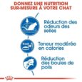 royal-canin-indoor-2kg-10-kg (7)
