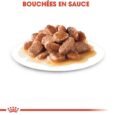 royal-canin-instinctive-en-sauce-85-g (1)