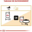 royal-canin-intense-beauty-en-sauce-85g (2)