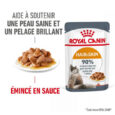 royal-canin-intense-beauty-en-sauce-85g (3)