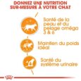 royal-canin-intense-beauty-en-sauce-85g (4)
