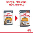 royal-canin-intense-beauty-en-sauce-85g (5)