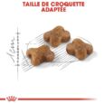 royal-canin-kitten-2-kg-4-kg-ou-10-kg (2)