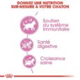 royal-canin-kitten-2-kg-4-kg-ou-10-kg (3)