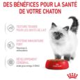 royal-canin-kitten-sauce-sachet-fraicheur-pour-chaton-85-g (4)