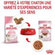 royal-canin-kitten-sauce-sachet-fraicheur-pour-chaton-85-g (7)