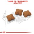 royal-canin-kitten-sterilised-2kg (4)