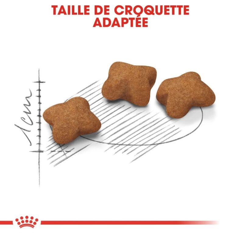 royal-canin-kitten-sterilised-2kg (4)