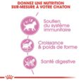 royal-canin-kitten-sterilised-2kg (5)