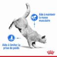 royal-canin-light-weight-care-adulte (3)