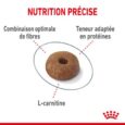 royal-canin-light-weight-care-adulte (4)