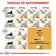 royal-canin-maine-coon-adulte-2-kg