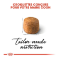 royal-canin-maine-coon-adulte-2-kg (2)