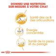 royal-canin-maine-coon-adulte-2-kg (4)