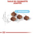 royal-canin-mother-babycat (2)