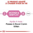 royal-canin-mother-babycat (3)