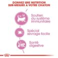 royal-canin-mother-babycat (5)