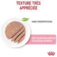royal-canin-mother-babycat-mousse-pour-chatte-et-chaton-195-g (1)