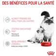 royal-canin-mother-babycat-mousse-pour-chatte-et-chaton-195-g (2)